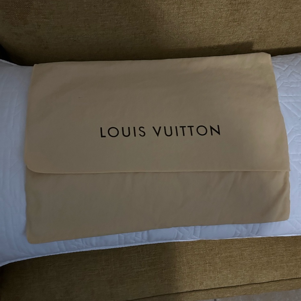 Louis Vuitton Beige Protective Pouch